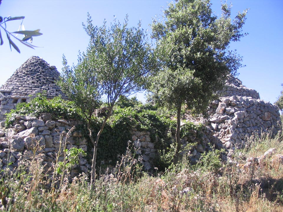 Trullo Specchia - View 1