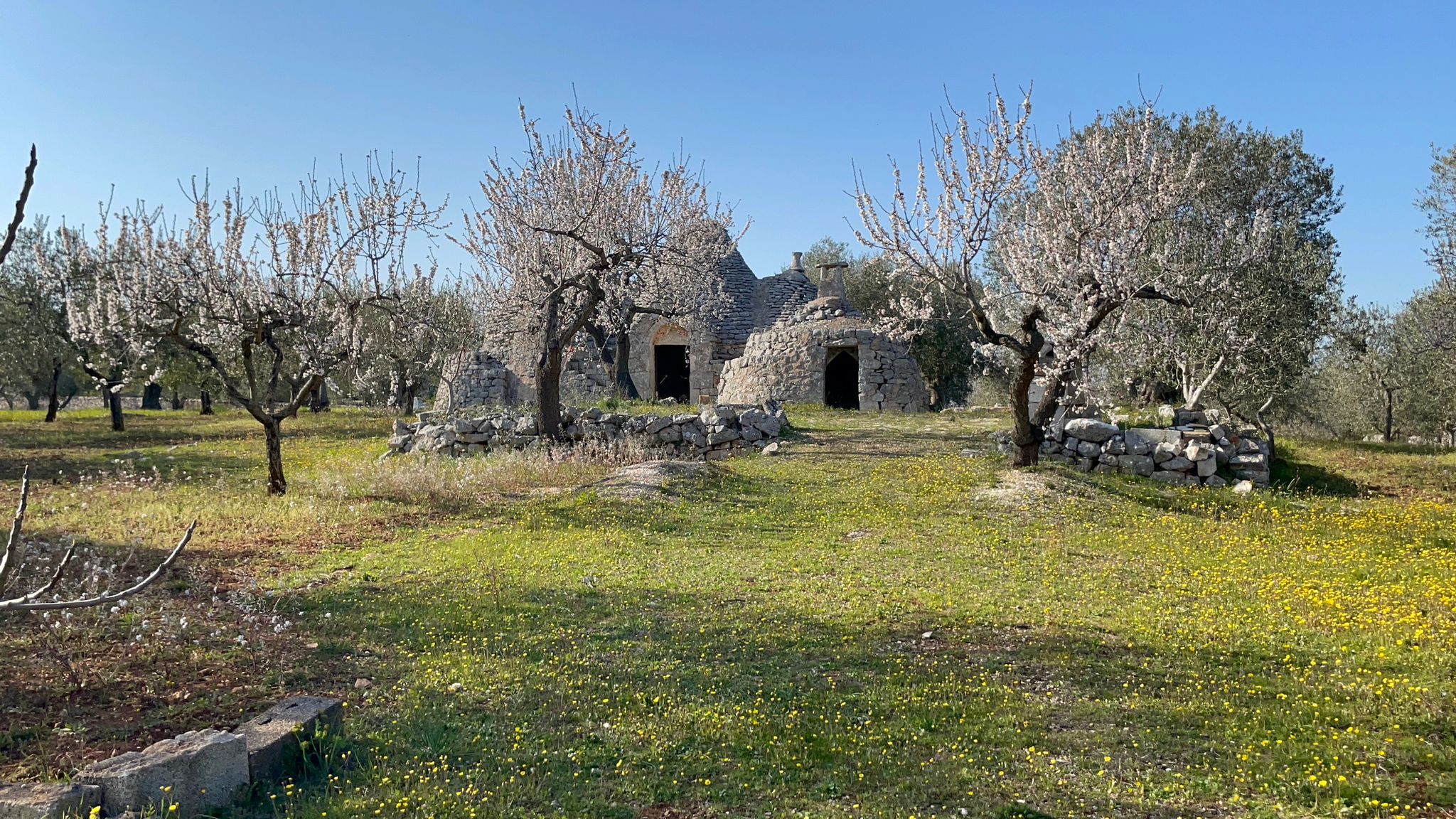 Trullo Chiobbica - View 2