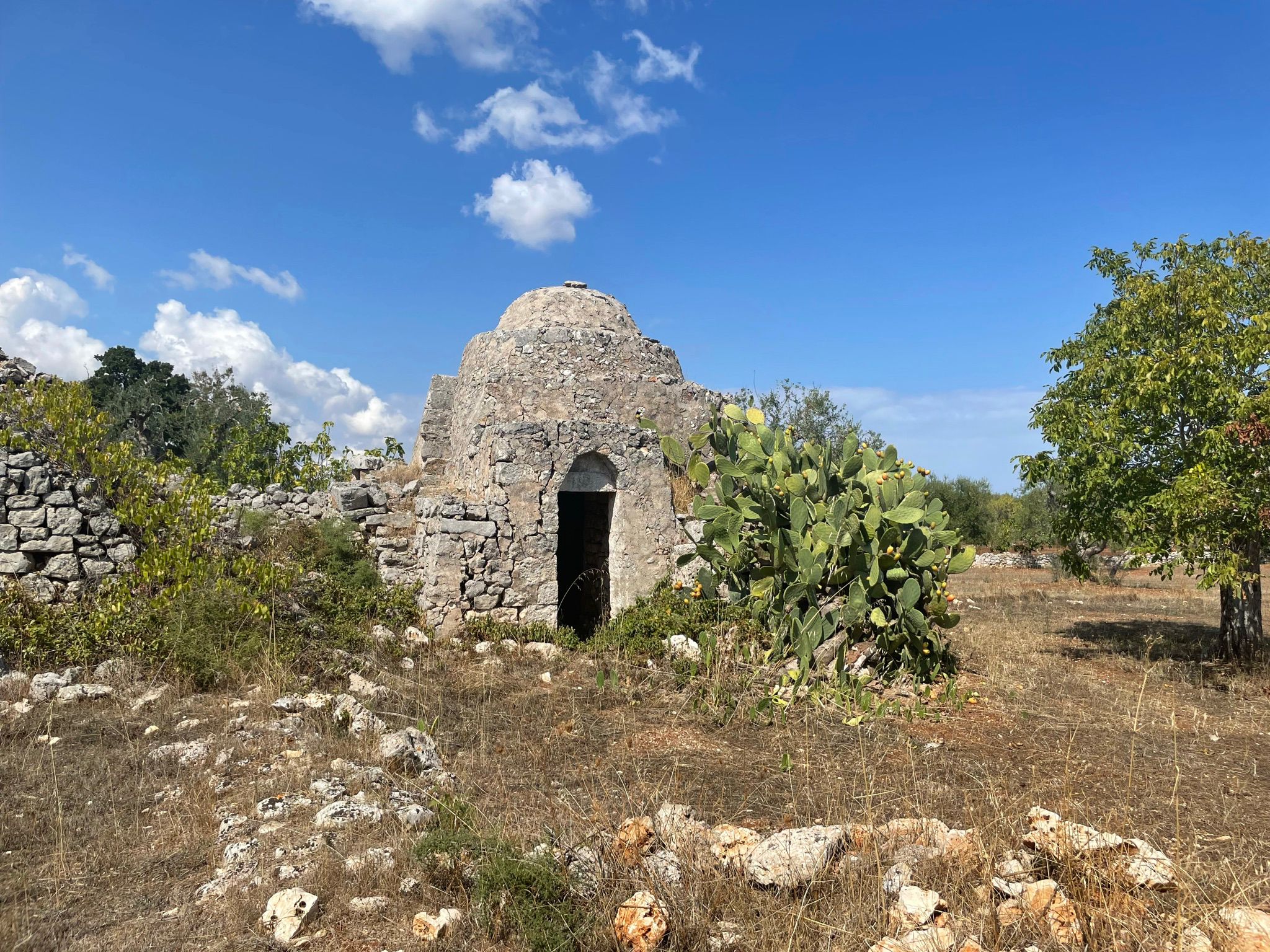Trullo Chiobbica - View 4